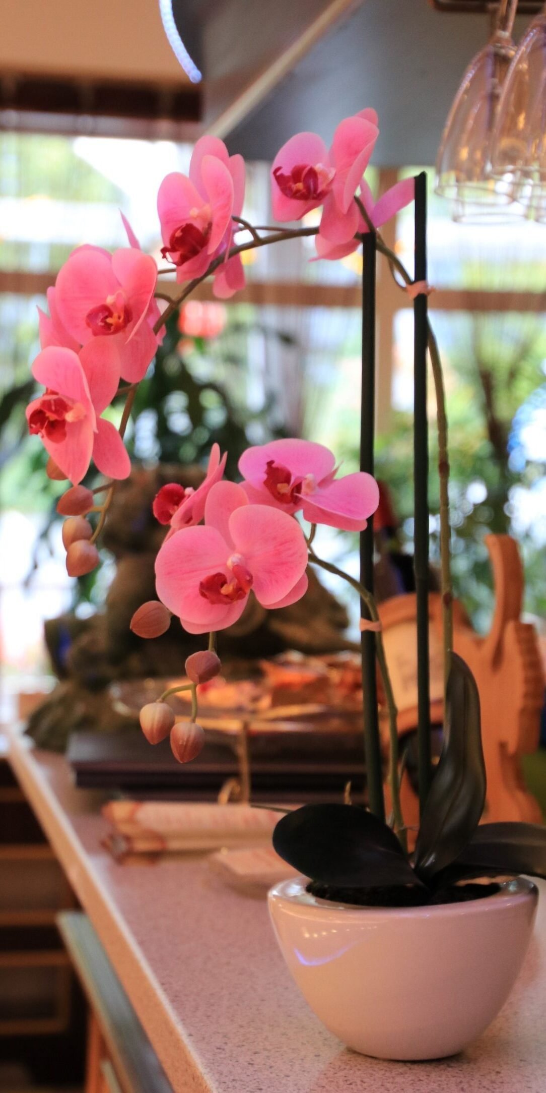 img 1775 rotated e1774864885666.jpg